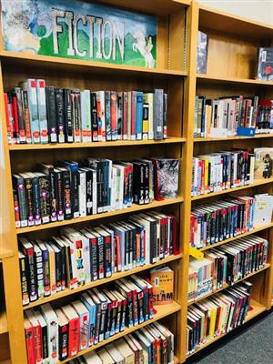 The Library